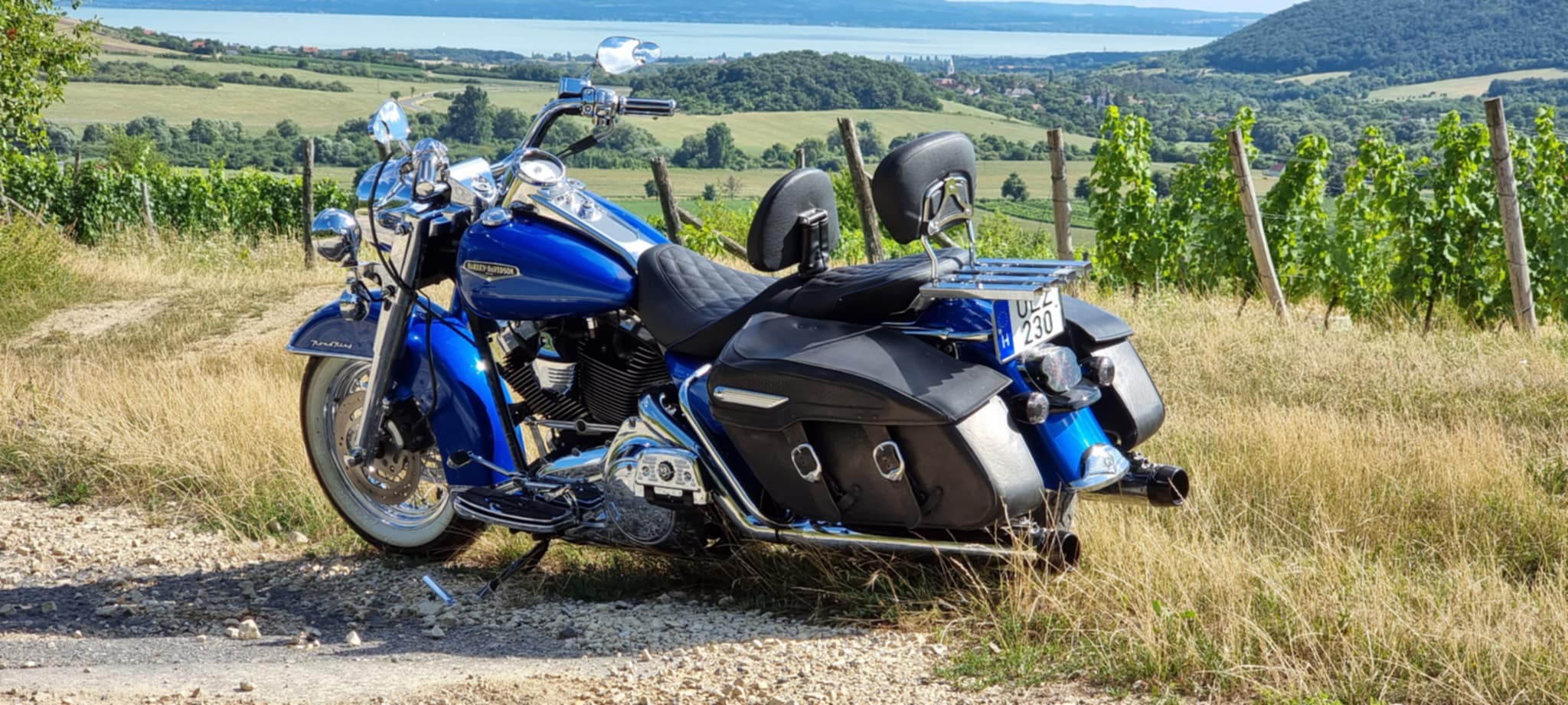 Híres Harley Davidson típusok